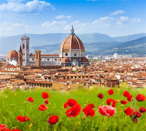 city of lilies|Florence: The City of Lilies .